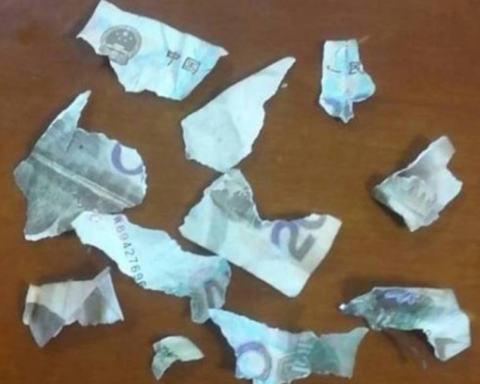 20元人民幣鈔票被撕成碎片。網圖