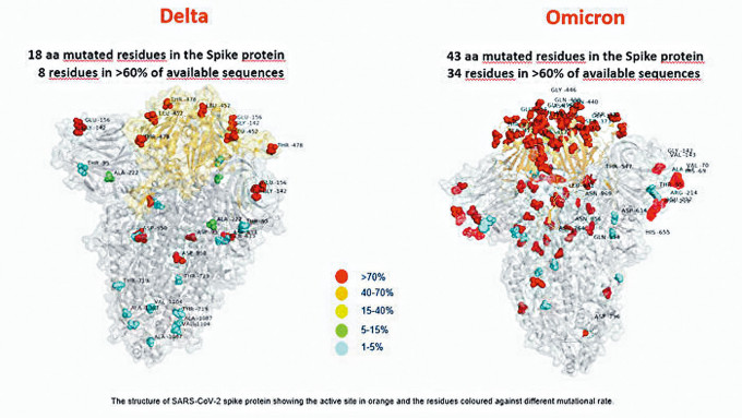 ■Omicron病毒模擬照(右)曝光，顯示比Delta更多突變。