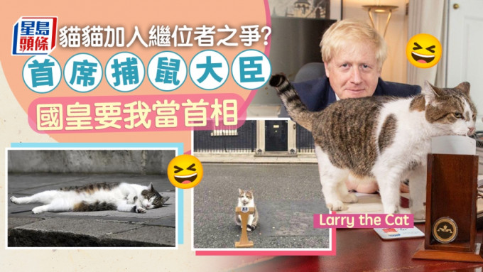 「英国第一猫」发文：国皇要我当首相。
