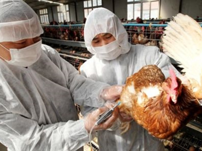 惠州市出现1宗人类感染H5N6禽流感病例。网图