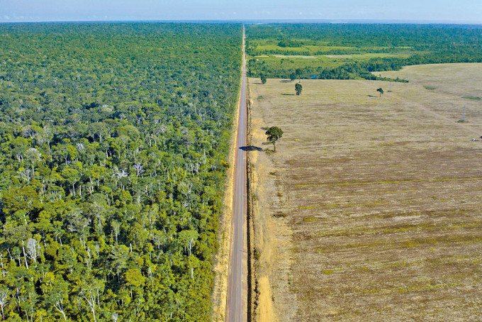 ■亚马逊森林一个区域被辟作农地（右）。