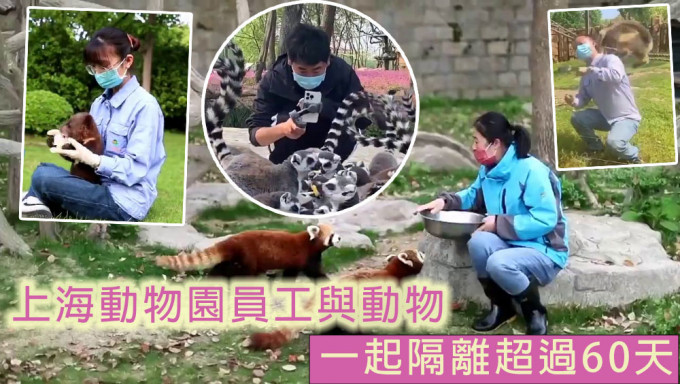 上海300多名动物园员工与动物一起隔离了60天。