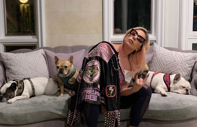 Lady Gaga與三隻愛犬在家隔離。