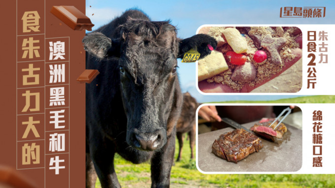 完美牛扒｜食朱古力大的澳洲和牛赤肉軟腍油脂如綿花糖| 星島日報