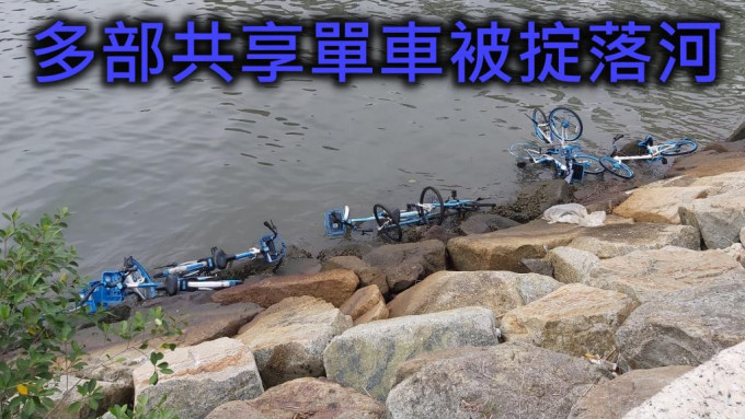 大埔近10部共享單車被掟落河。