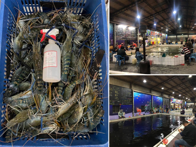 台湾一个钓虾场遭客投诉无虾钓，老板揭2员工偷吃了111公斤。FB图片