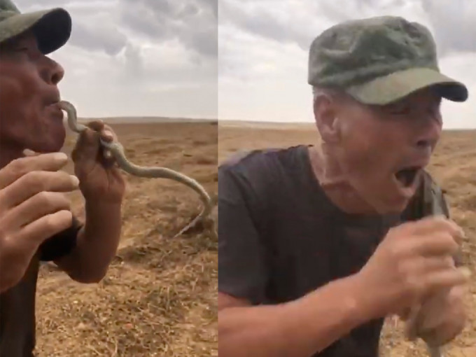 俄国农民贪玩把蛇入口中，结果赔上性命。（截段截图）