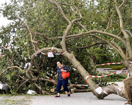 強颱風「山竹」襲港後市面一片狼藉。資料圖片