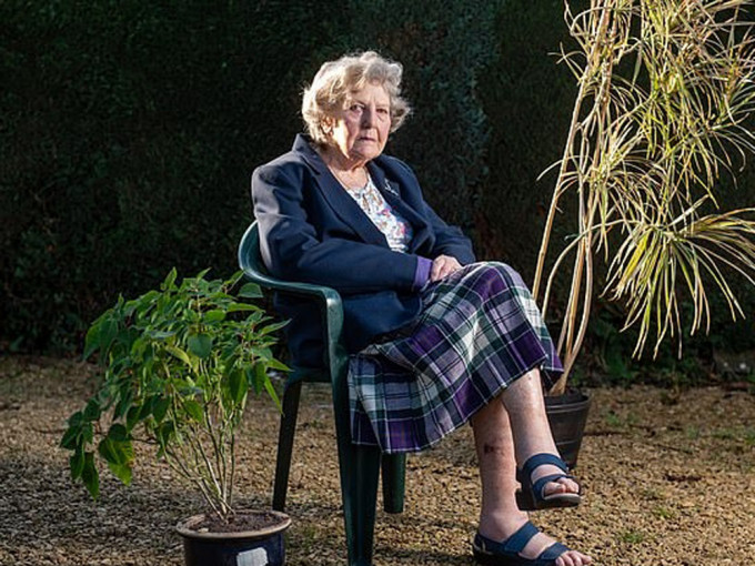 英國91歲婆婆家中摔倒 ，靠吃盆栽泥土延續兩天生命。(網圖)