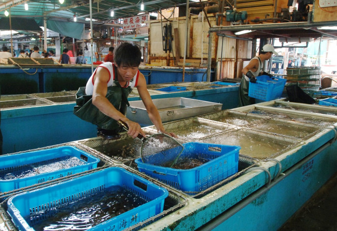 600名本港漁工透過政府外展接種計劃注射新冠疫苗。資料圖片