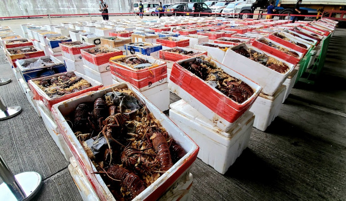 內地民眾對外國海鮮需求甚廣，即使澳洲龍蝦被禁止入口，仍有走私販鋌而走險。資料圖片