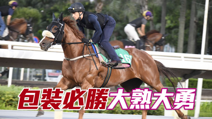 「包裝必勝」落腳輕快有勁，馬身收得好靚，狀態大熟大勇。