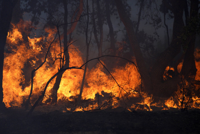 火场面积超过7000公顷，并继续蔓延。AP图片