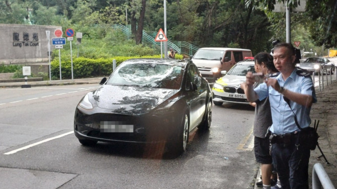 赤柱塌树击中私家车 挡风玻璃凹陷乘客受伤