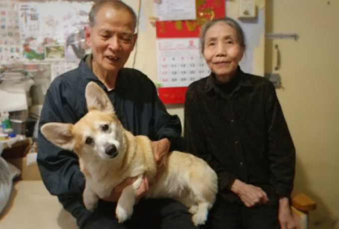 房署暂缓处理刘伯迁出狗个案。facebook香港动物报图片