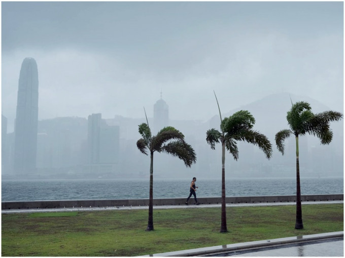 今日大致多云，间中有狂风骤雨及雷暴，雨势有时颇大。