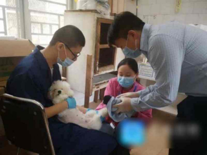 動物園成功徵得「狗奶媽」餵養黑豹姐妹。網圖