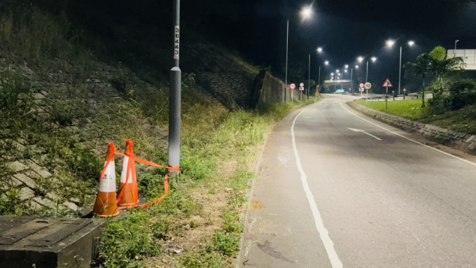 東喜道有兩野豬被私家車撞，一死一傷。