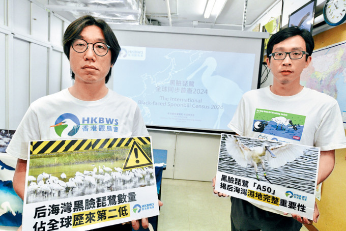香港觀鳥會昨日公布「黑臉琵鷺全球同步普查2024」結果。