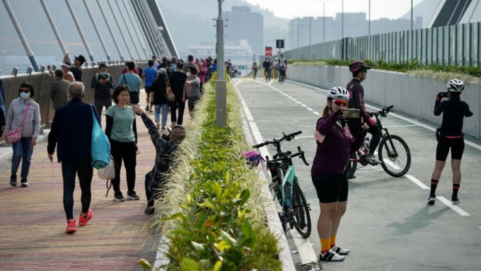 今早大批市民到跨灣大橋享單車樂。