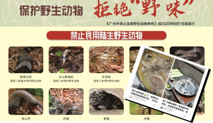 内地已禁止食用所有蛇类，不过近日有人在互联网推介吃蛇的方法。