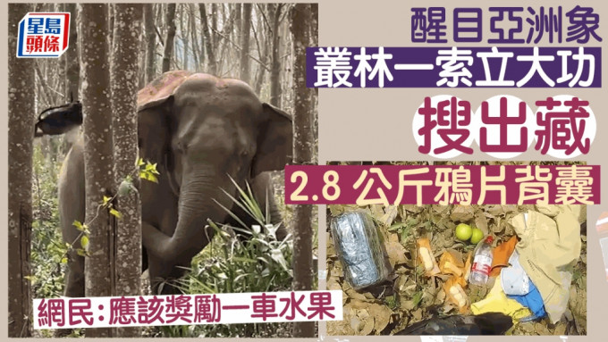 醒目亚洲象丛林一索即立大功 搵到藏2.8公斤鸦片背囊