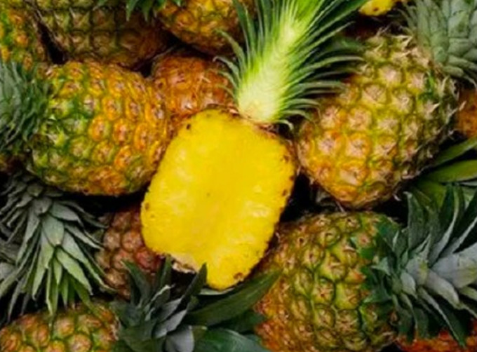 大陸下月起暫停進口台灣菠蘿。