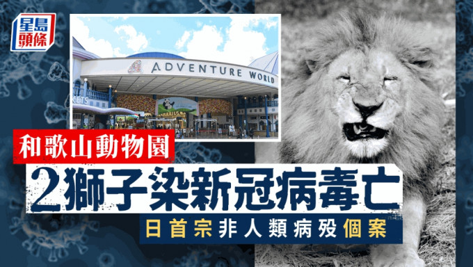 日本和歌山县动物园冒险世界有2只狮子感染新冠病毒后死。 冒险世界FB图