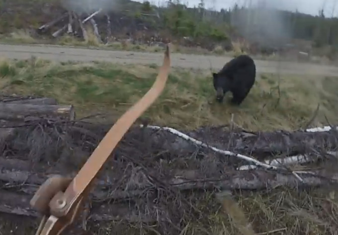 黑熊扑倒猎人。