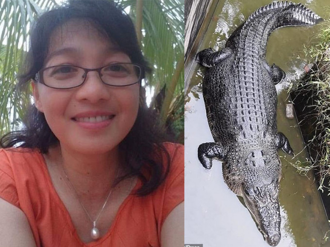 女科學家餵食鱷魚時，慘遭5米長的鱷魚咬掉半邊身子！（網圖）