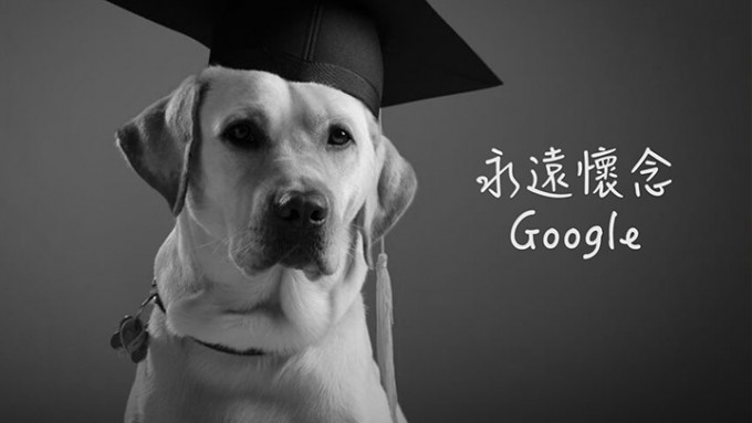 导盲犬Google早前因癌病离世。