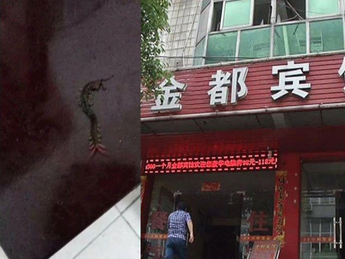 江西省吉安市一间宾馆被住客指有老鼠，甚至被蜈蚣咬伤。(网图)