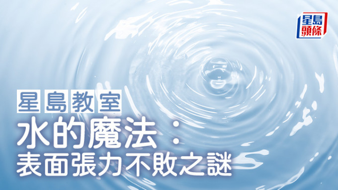 水的魔法︰表面張力不敗之謎｜星島教室