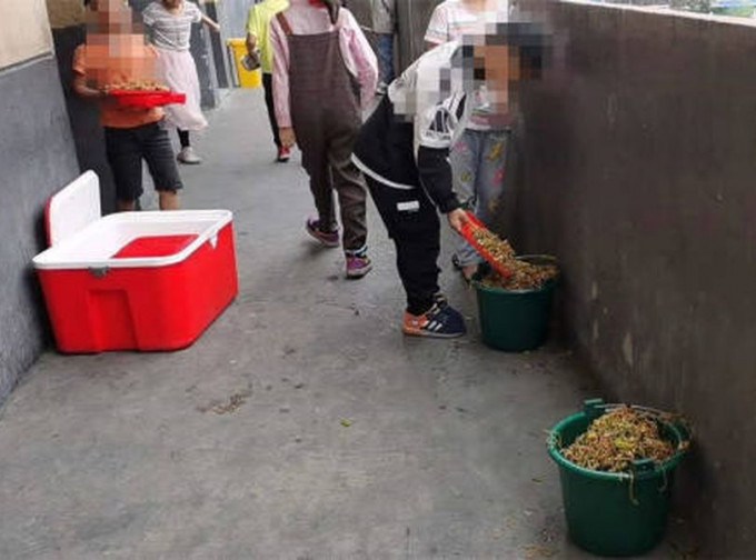 學生因味道差，將學校提供的營養餐倒掉在垃圾桶。網圖