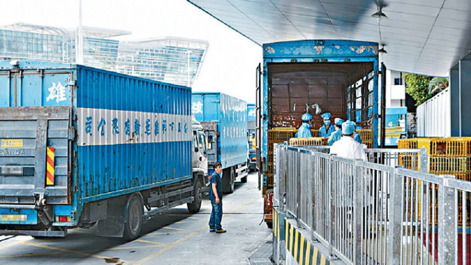 深圳再多21名跨境货车司机染疫。资料图片