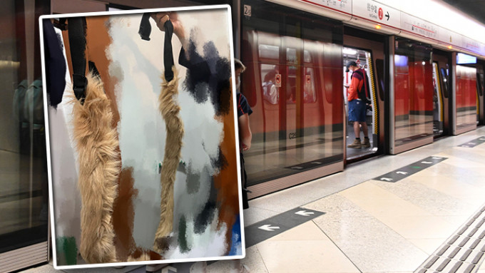 網絡早前熱傳一名女子以小野貓Cosplay打扮搭港鐵，引起網民熱議。
