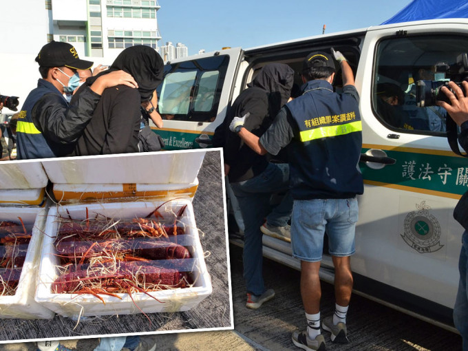 行动中，海关检获活龙虾及海参，约值1000万元。