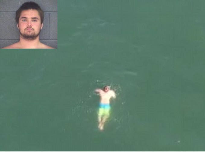 美国一名男子，为了逃避追捕跳入海中，途中被一条鲨鱼跟踪（网上图片）
