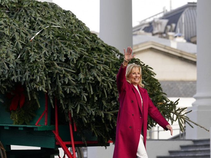 吉爾·拜登近日在白宮接收了2021年白宮聖誕樹。美聯社圖片