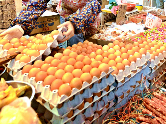 今年荷兰鸡蛋进口量只占0.1%。资料图片