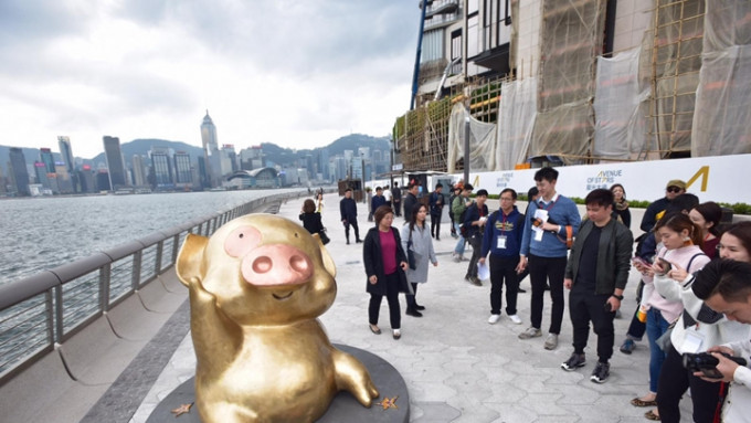  旅發業界歡迎政府取消黃碼安排，盼旅客重回香港。