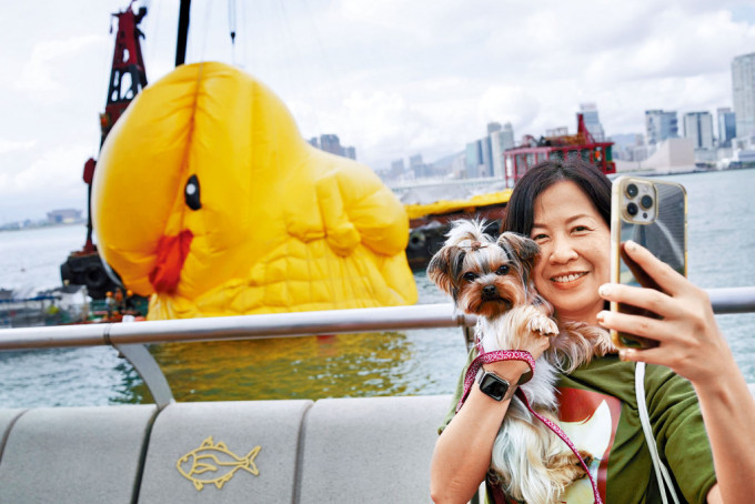 最后一只黄鸭被放气，市民带同爱犬拍照留念。