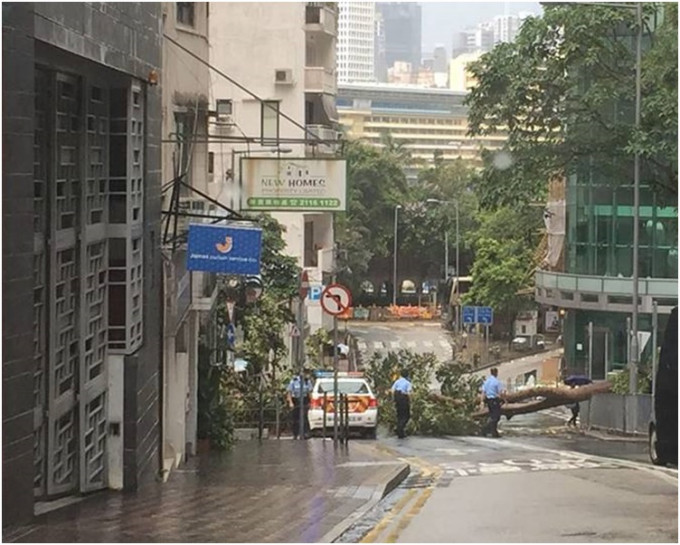 大树倒塌后横亘行车线。「香港交通突发报料区」网民Tom Yan摄