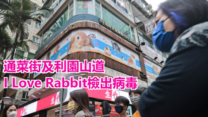 通菜街及利园山道I Love Rabbit检出病毒。资料图片