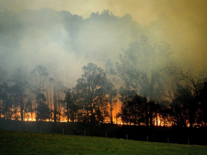 去年发生的澳洲山火持续多月。AP资料图片