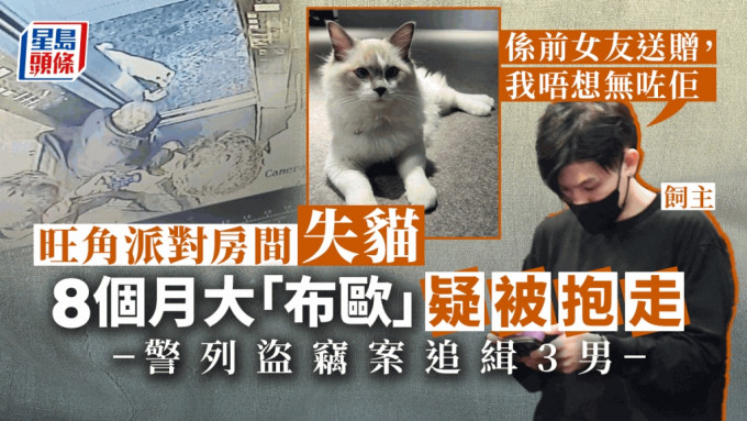 8個月大布偶貓被人偷走，閉路電視拍得3名男子涉案。