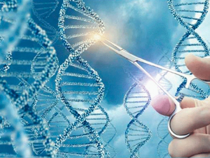 世界卫生组织宣布启动一项针对人类基因组编辑活动的全球性注册计划。　示意图