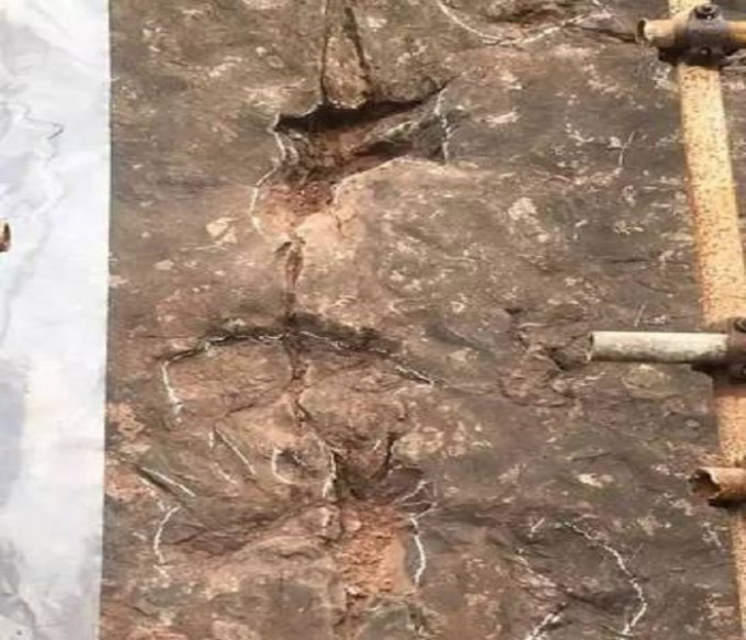 贵州省仁怀市茅台镇发现大规模的恐龙足迹群