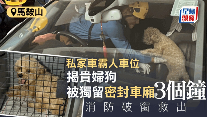 消防、警方和愛護動物協會人員抵達現場，嘗試聯絡車主不果，於是破窗把狗救出。