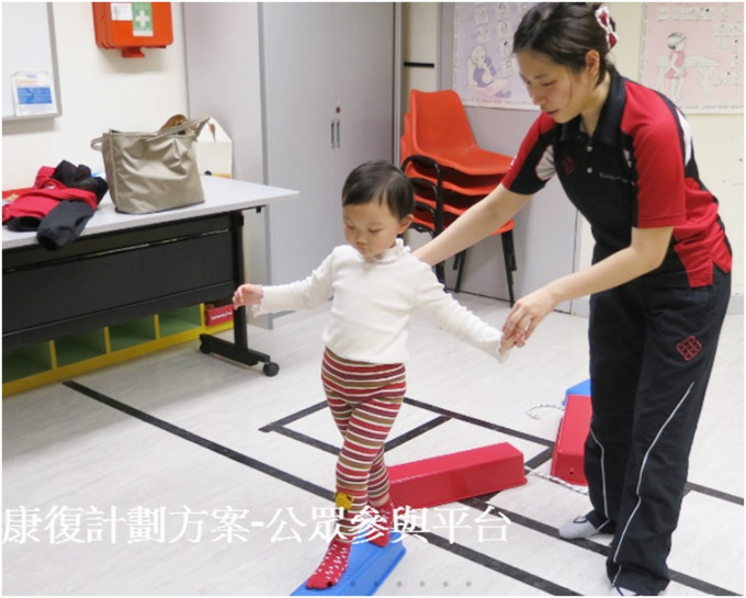 諮詢期由今日起至5月4日。網圖